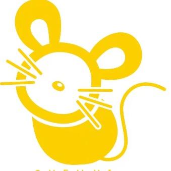 邻水晨艺艺术培训学校