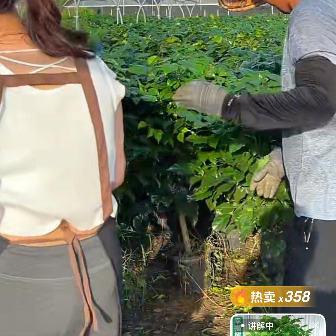 丰哥花艺园