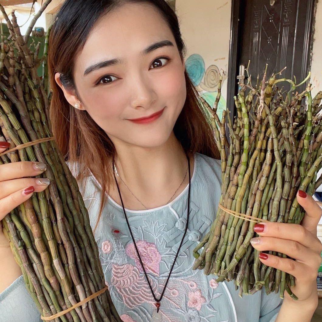 三枫堂铁皮石斛