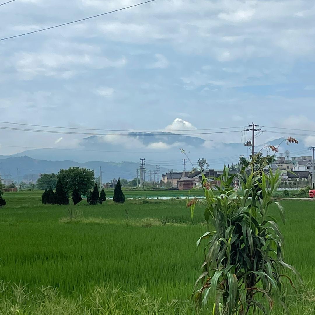 青县批发鞋包社99元3双