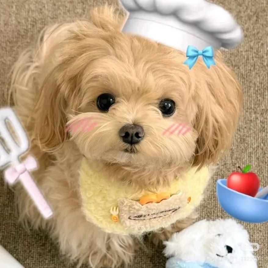 BSC韩系女装工作室