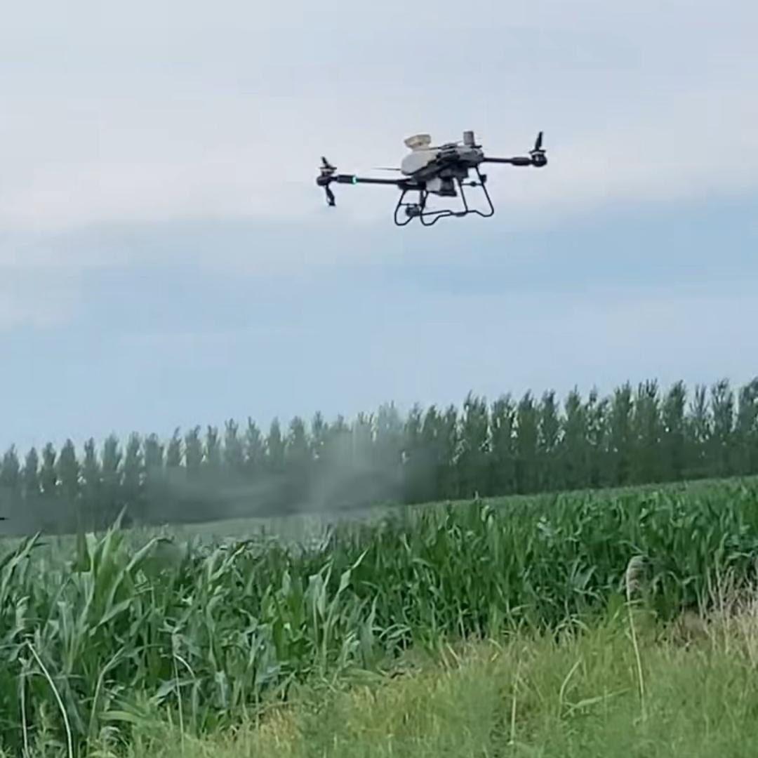 孙宝军家庭农场