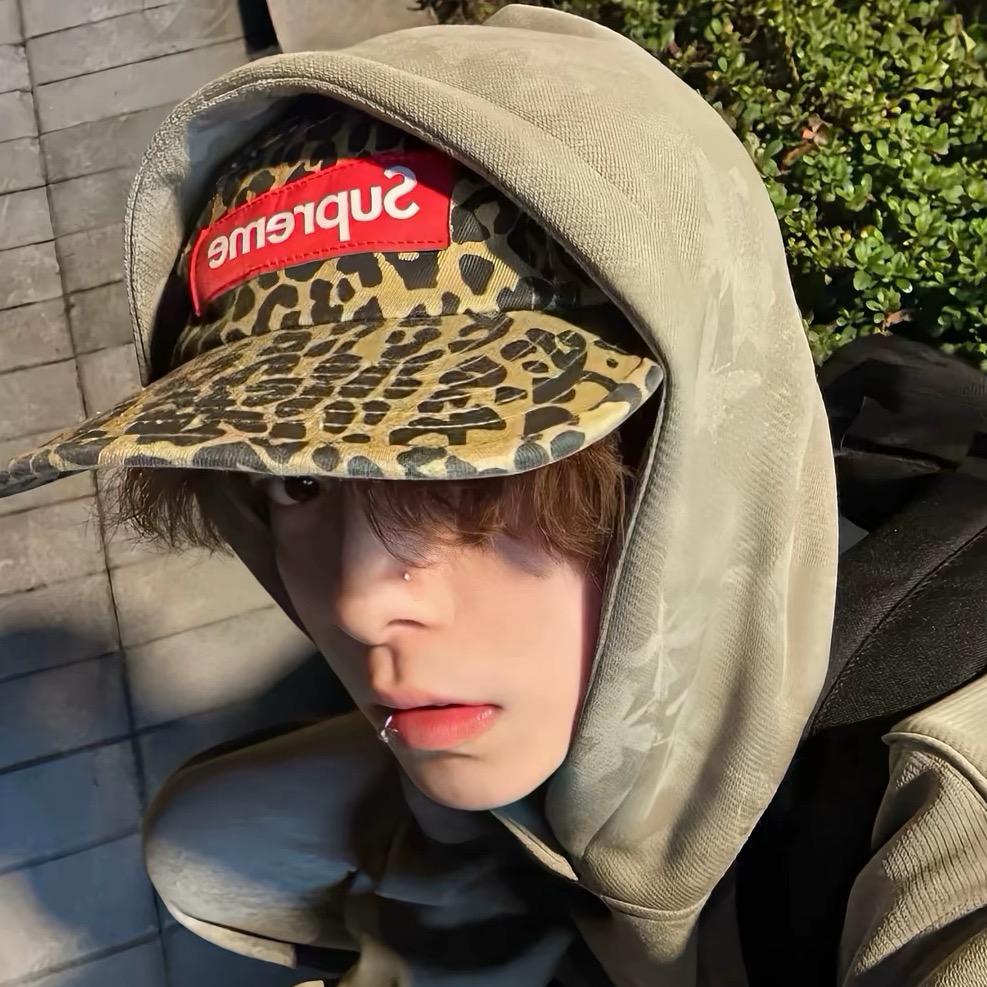 lꫛ℘℘ꫀꪄꪶ .