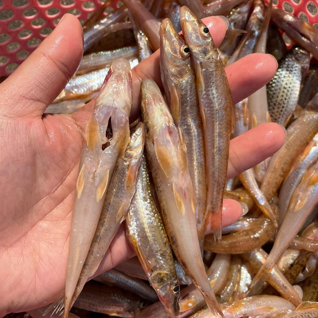 婷婷河鲜🐟🦐自产自销