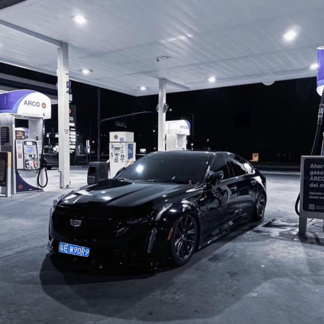 ㅤ大圣碳火烧烤