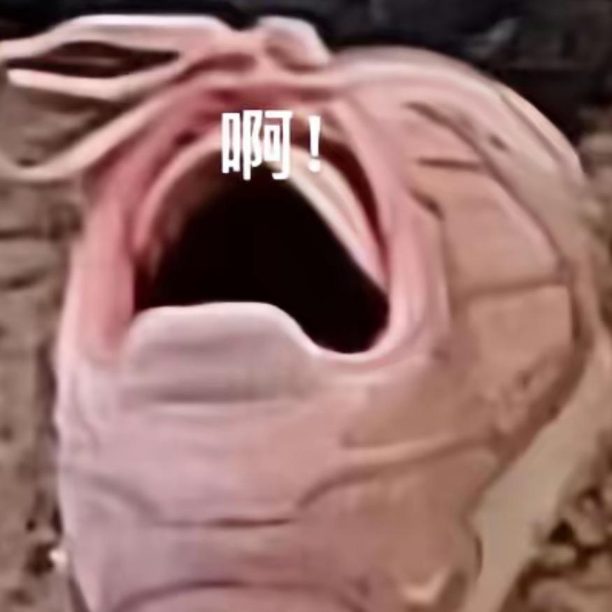 天天