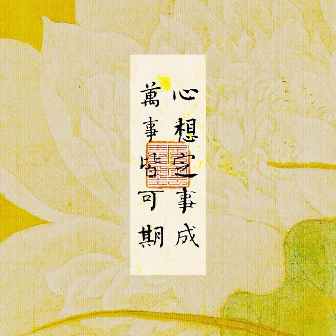 川芎行云