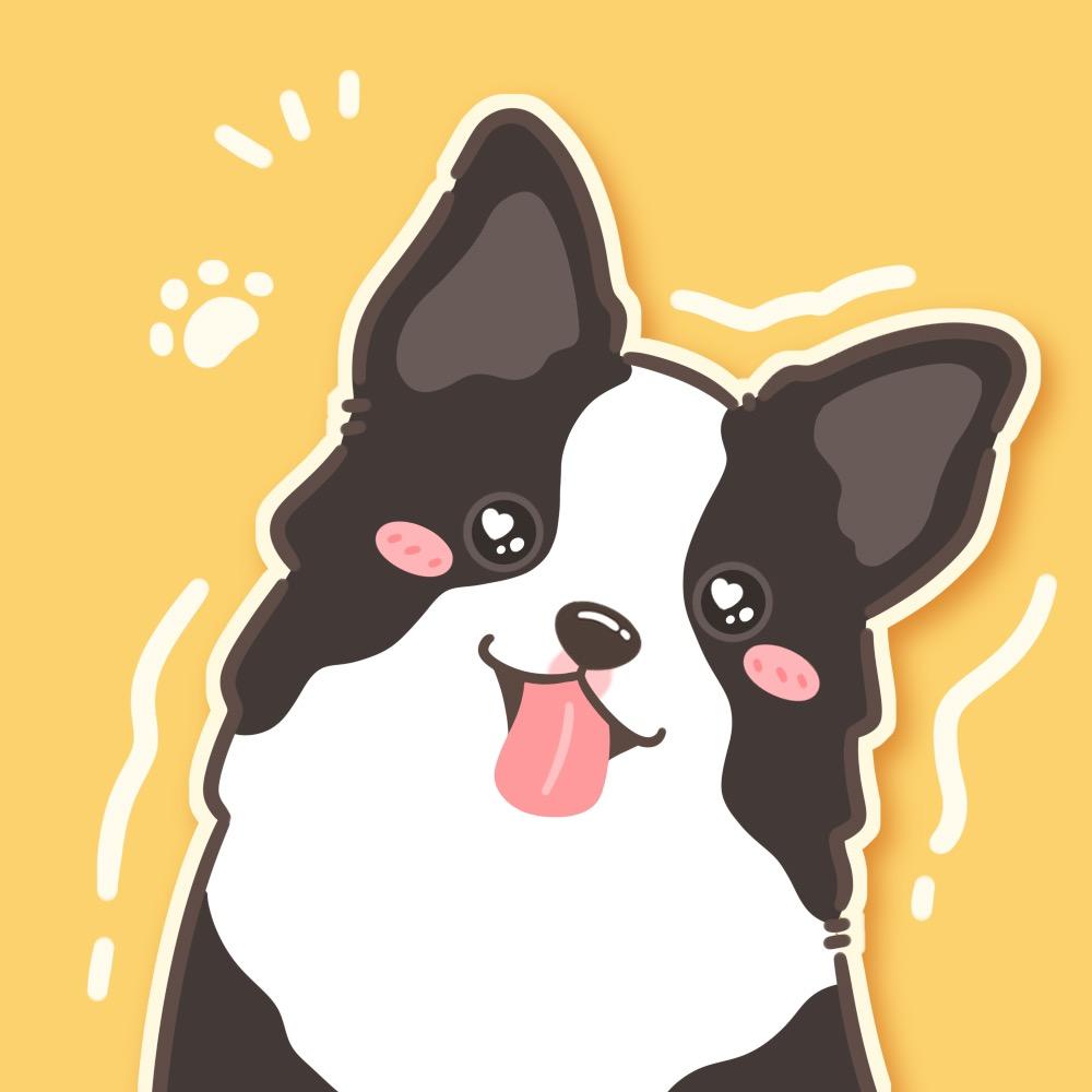 边牧蛋糕 | 旅行版@抖音