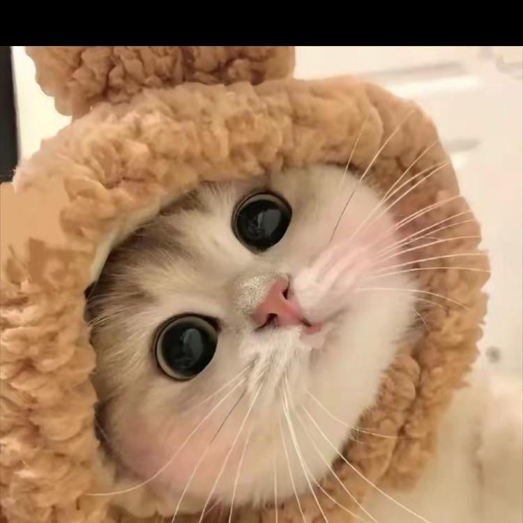 舞阳县竺利百货店（个体工商户）