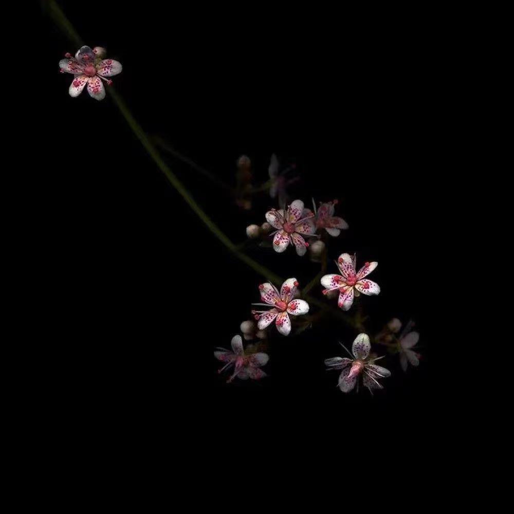 大🌟健🌟康（赋能陪跑）
