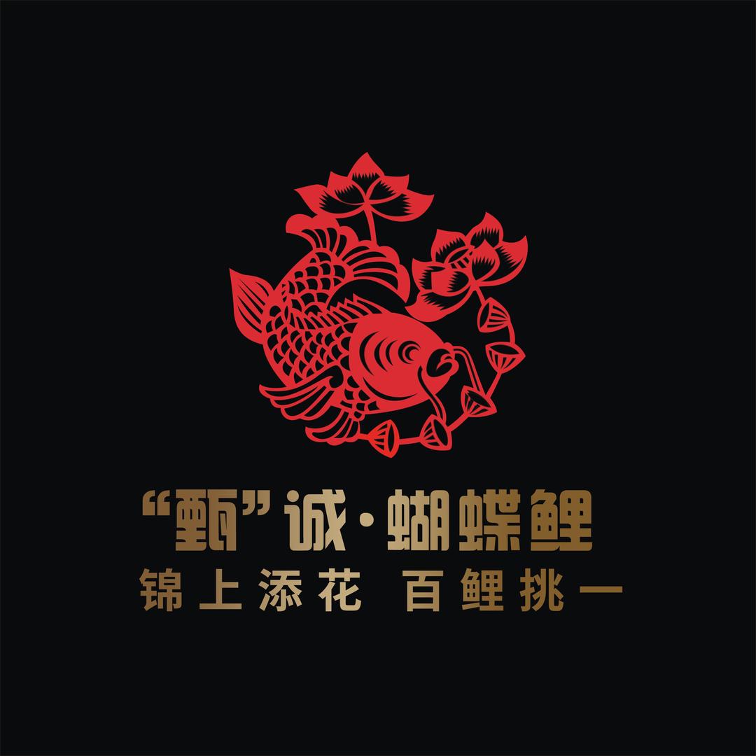 “甄”诚观赏鱼