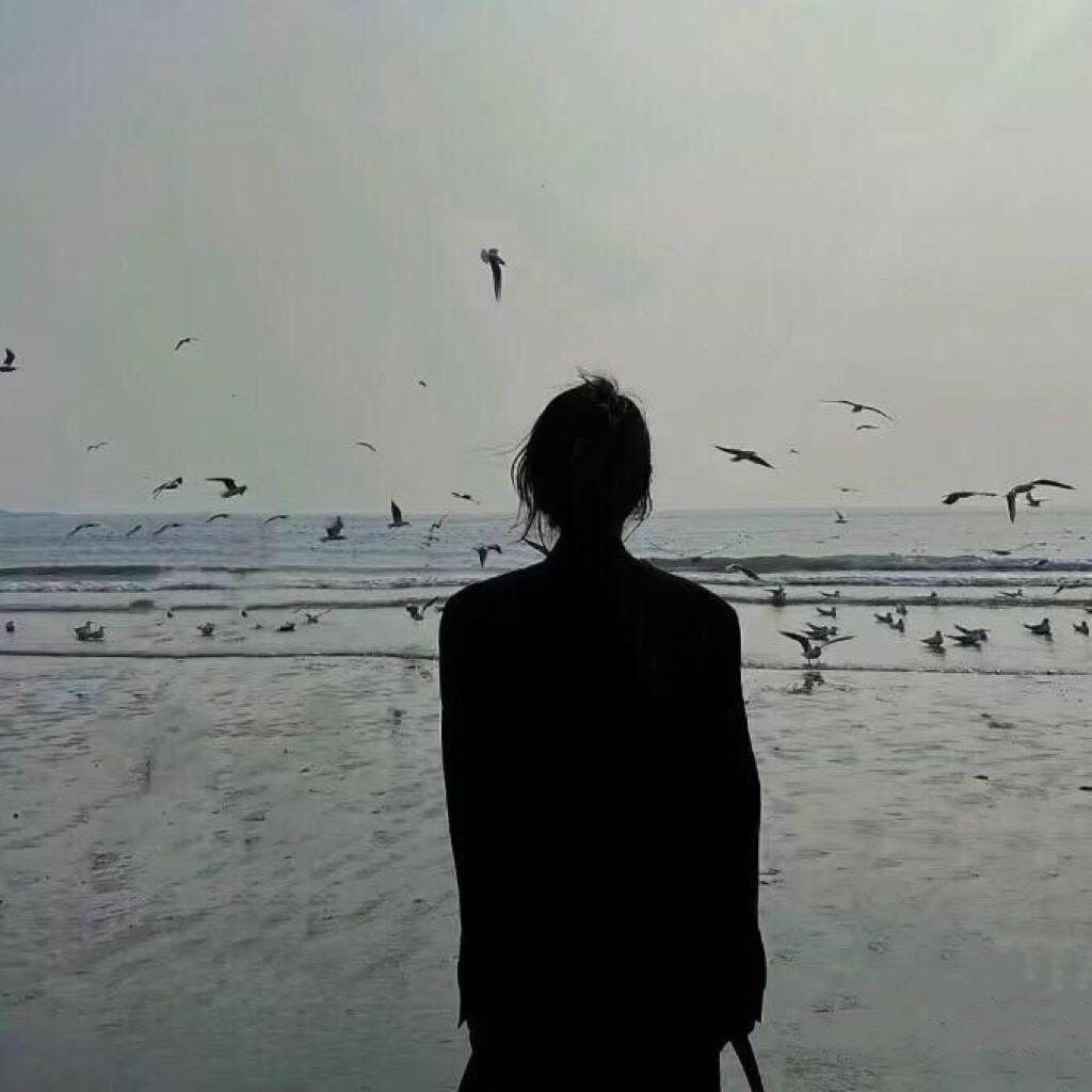 ♥素年💫碎碎念💫