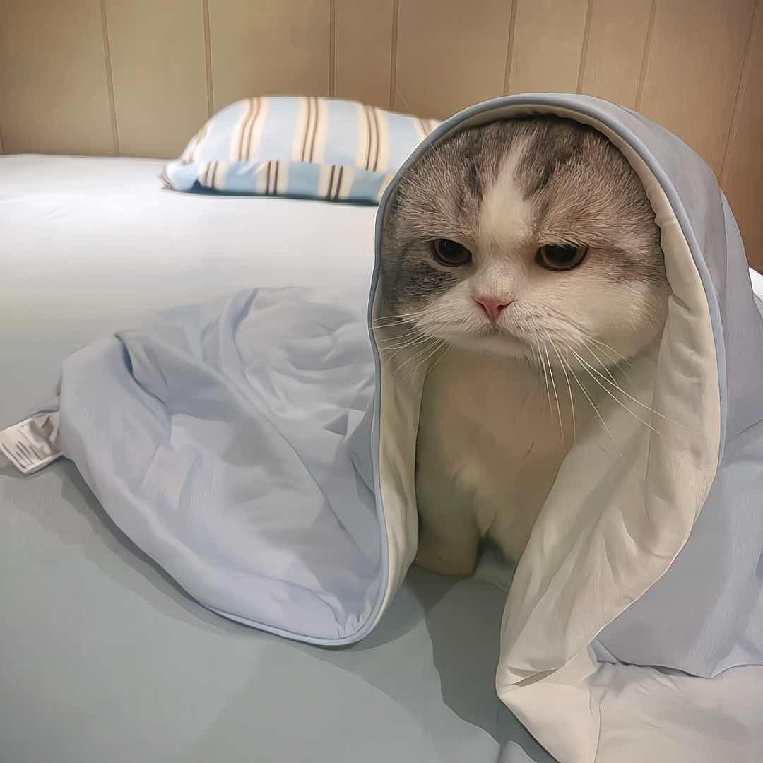 贝才.