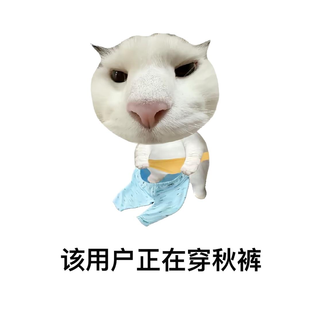 放荡不羁的腿毛