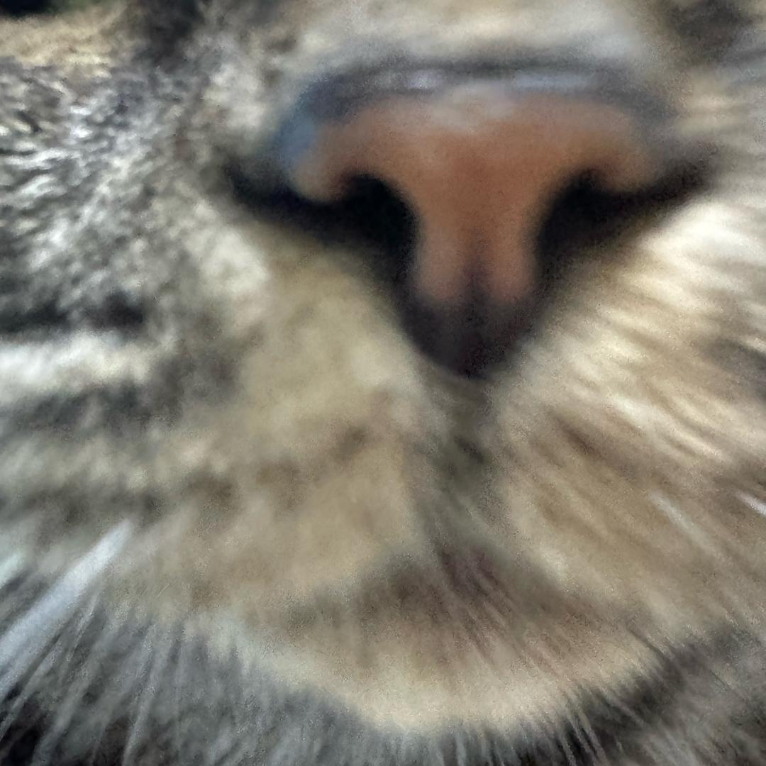 ＫＫ