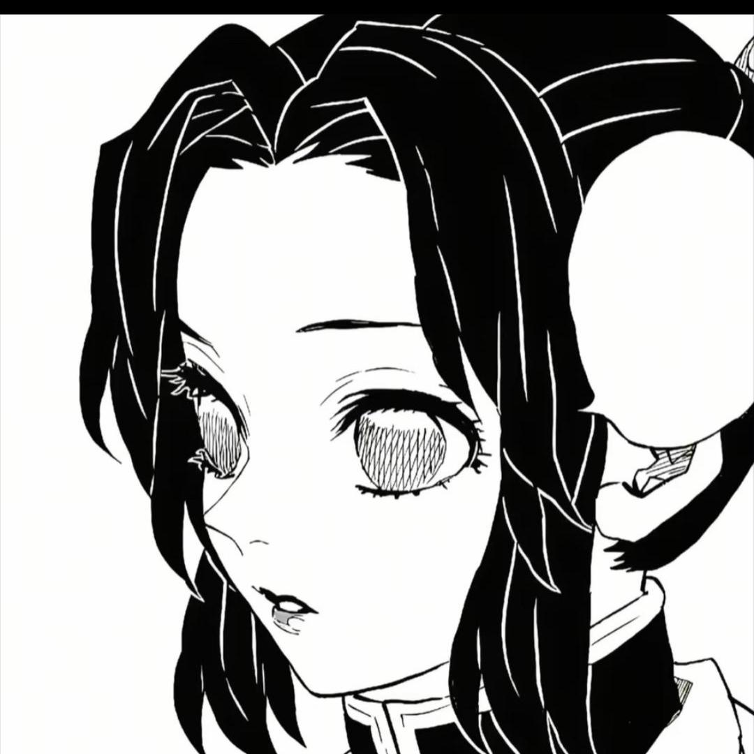 闪耀迪迦