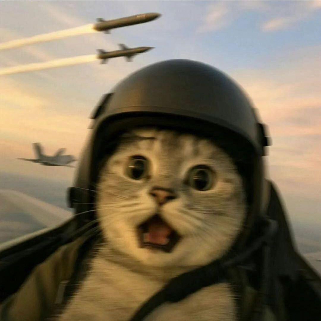 ㅤ     ㅤ