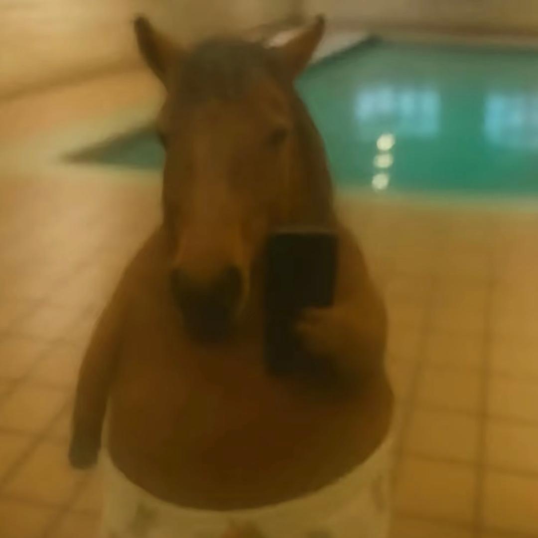 喝点马尿你是心高气傲惹我黄少你是生死难料