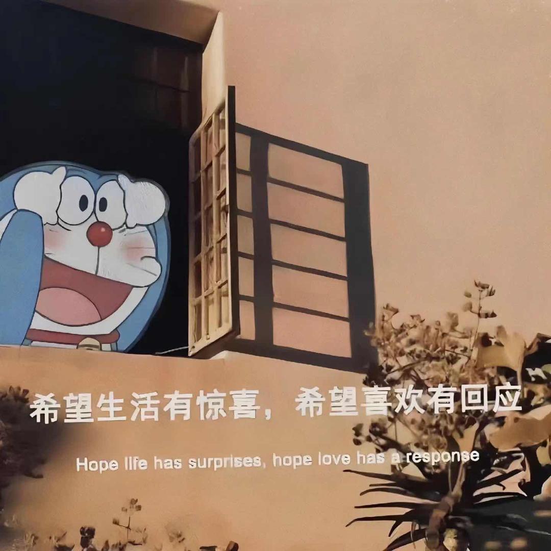 胡萝卜爱吃冬瓜