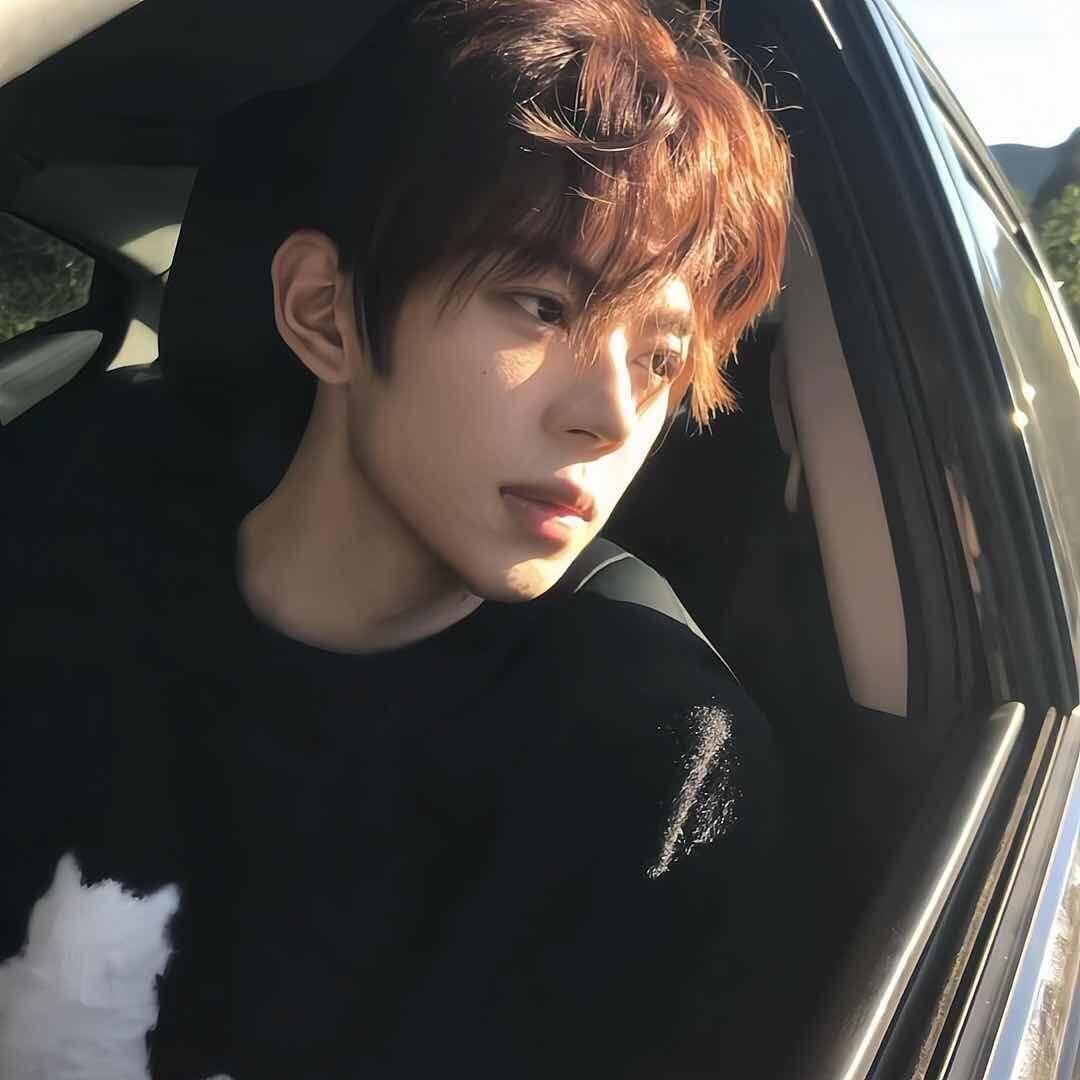 小马LL