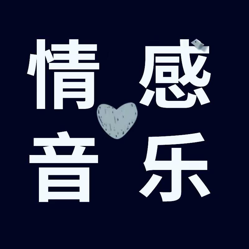 情感音乐（🚗载u盘）