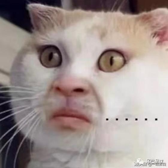 陈言