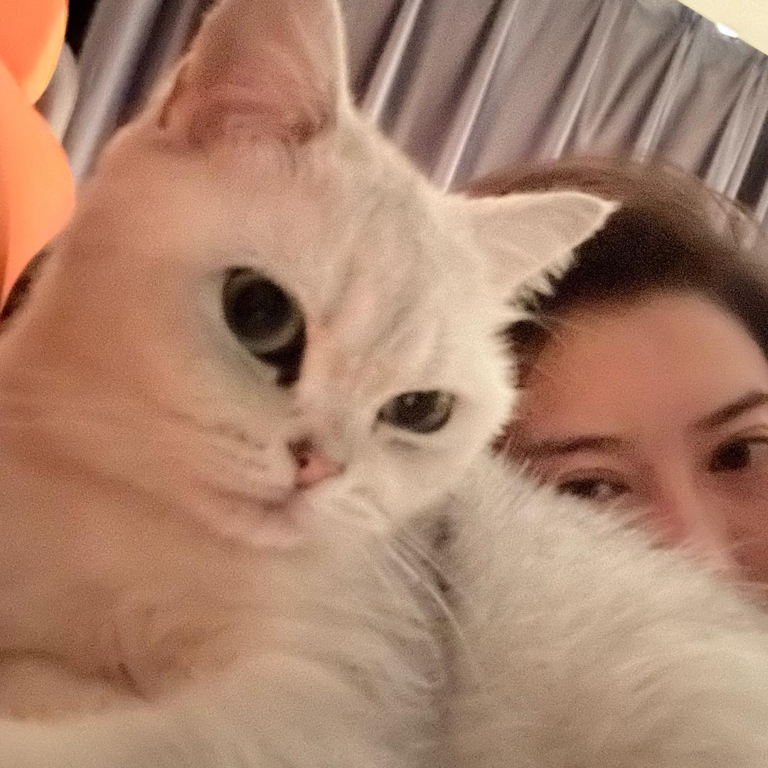 白羊座