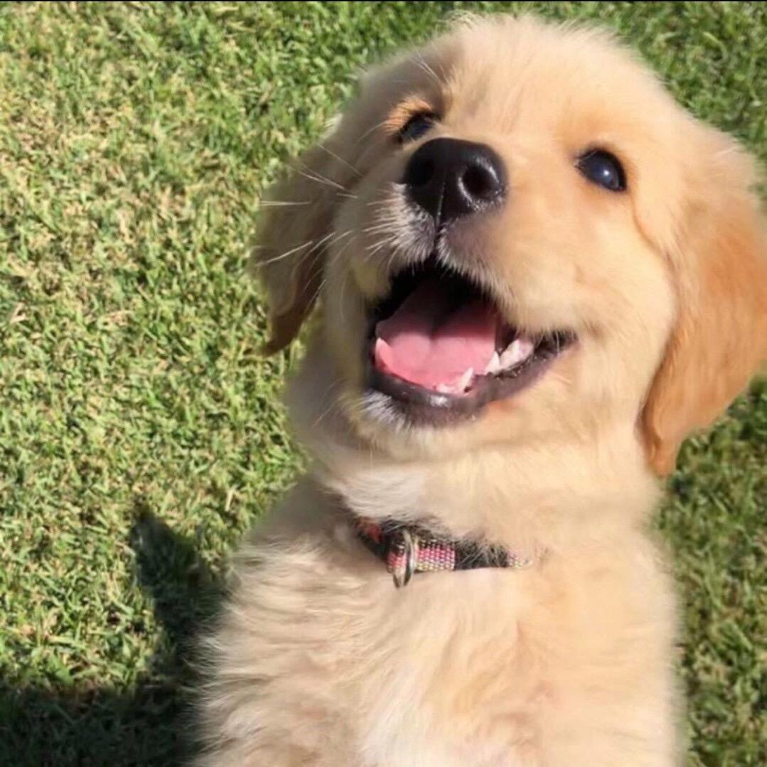 🦉𝐄𝐮𝐧𝐳𝐚