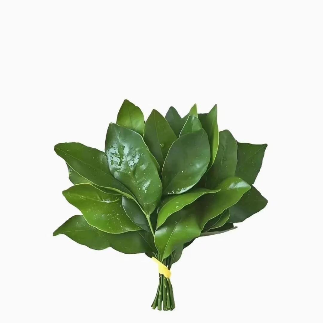 唐玥传奇科技城品牌推荐官