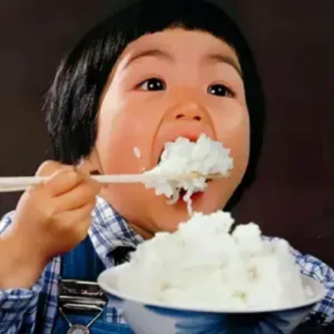 小陈带你吃喝玩乐