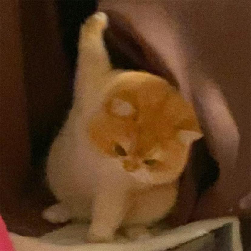 有亿点困