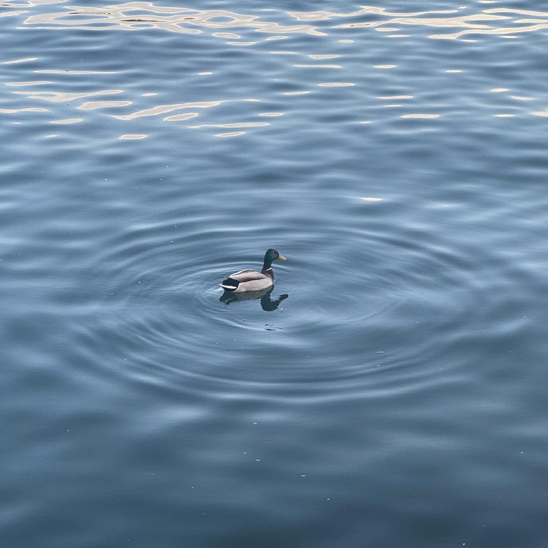 海阔天空1