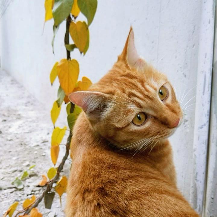 🌈有只可爱太