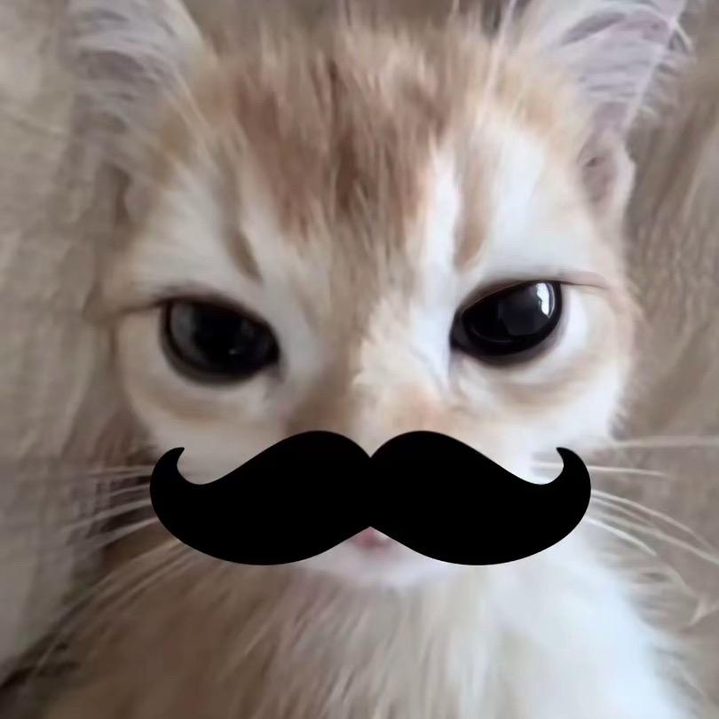 哈基咪（接围巾🧣）