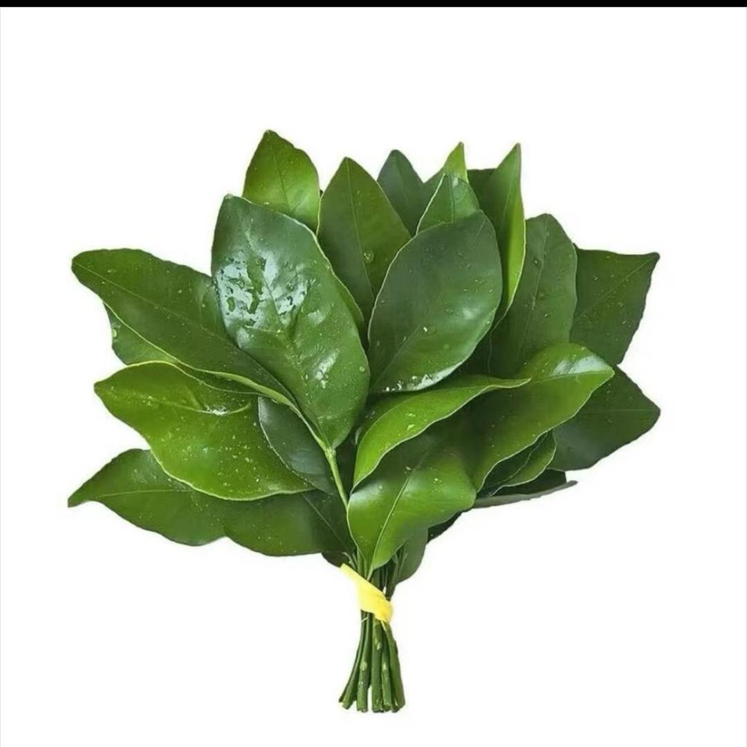 🍃