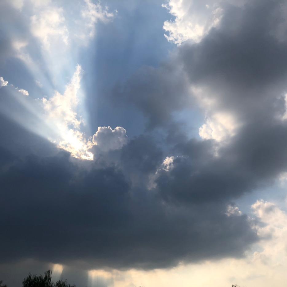 林雁