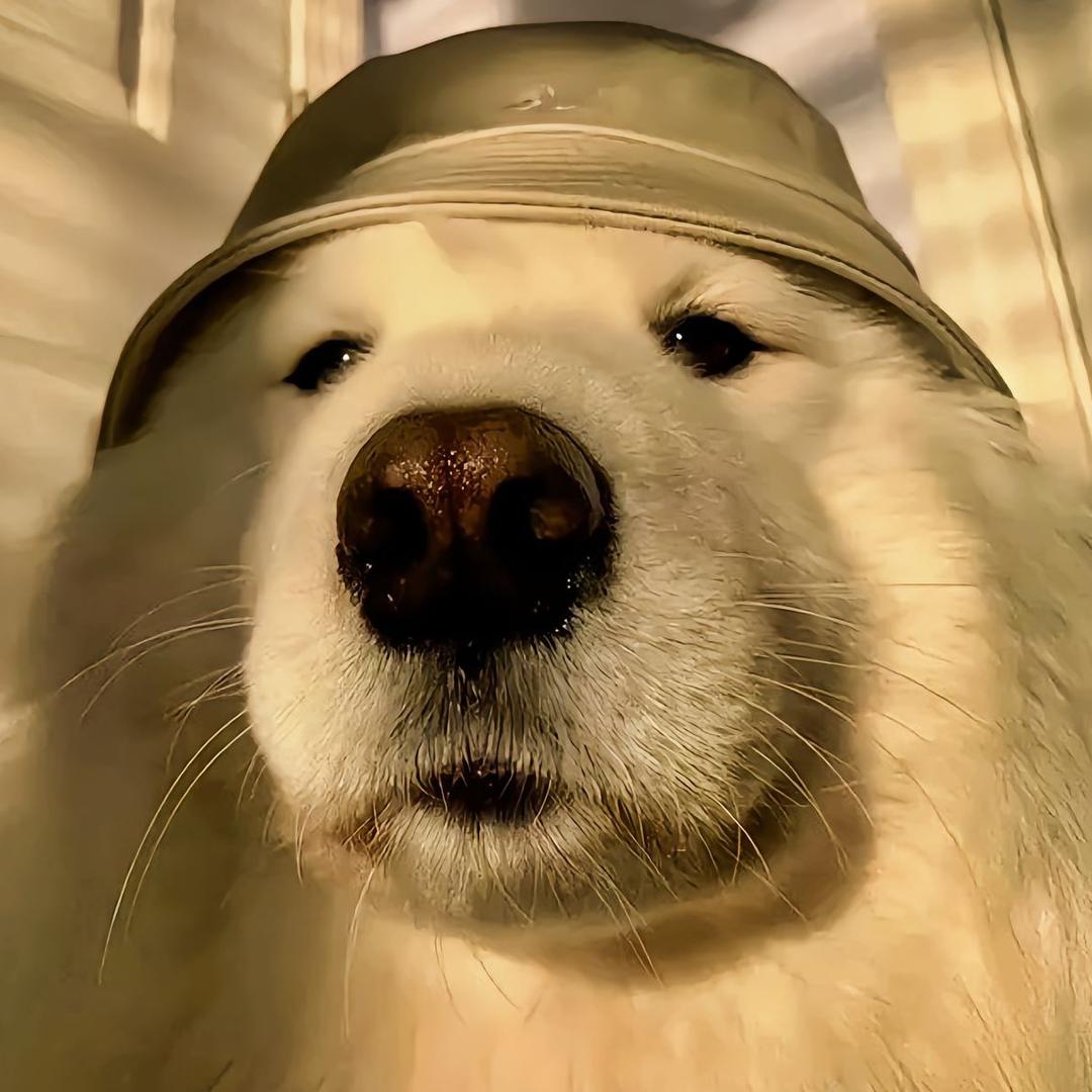 AA