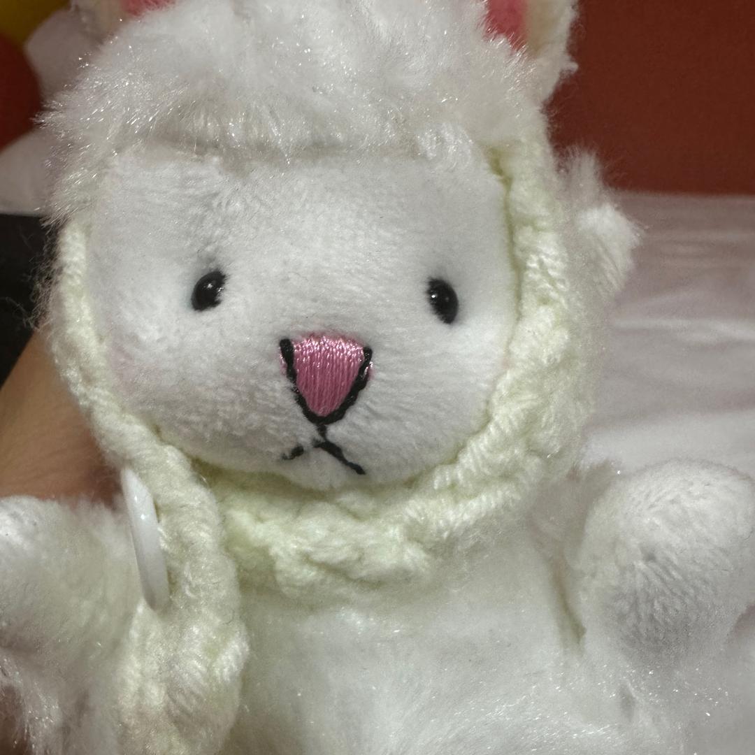 如果云知道🇵🇸