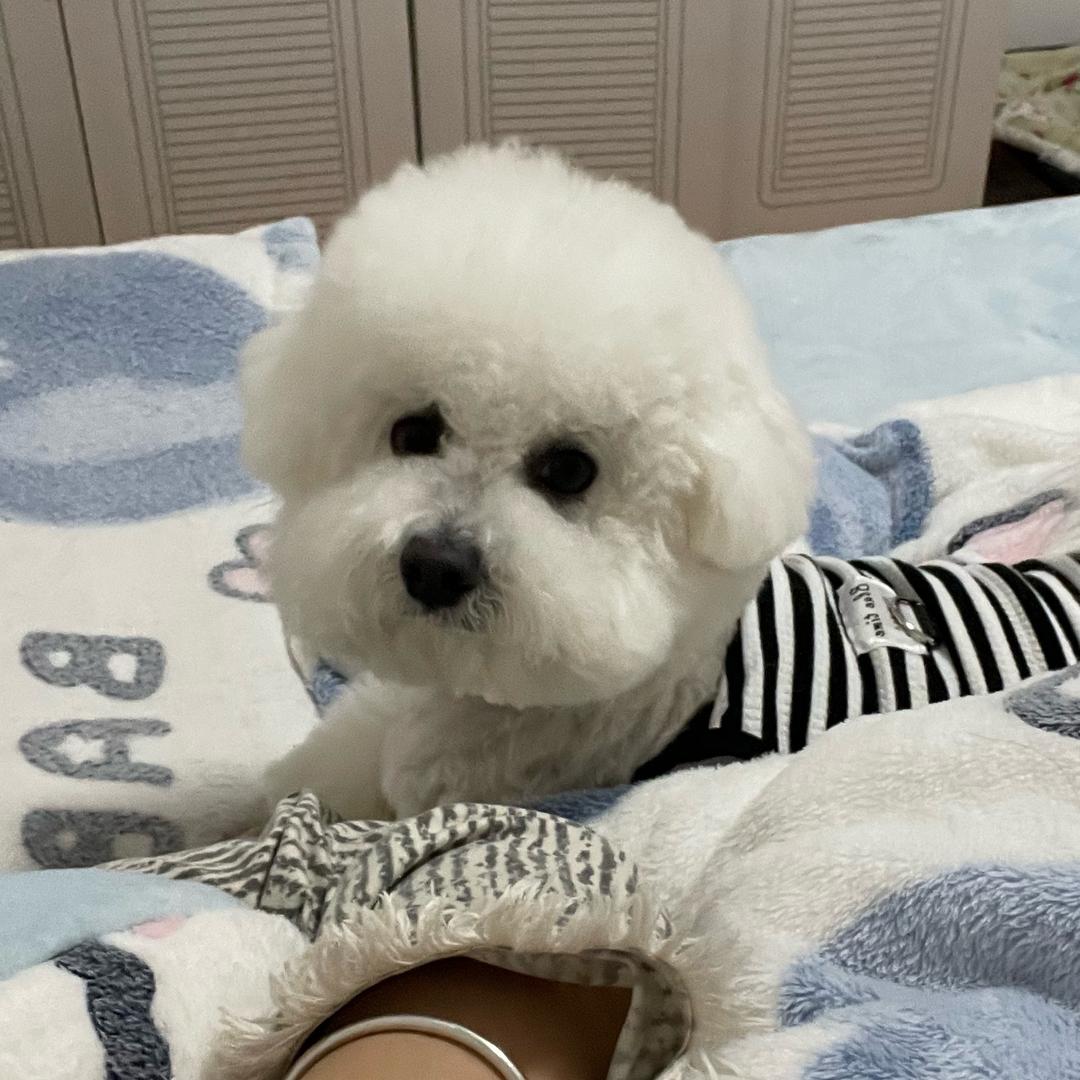 錢多多胖墩墩