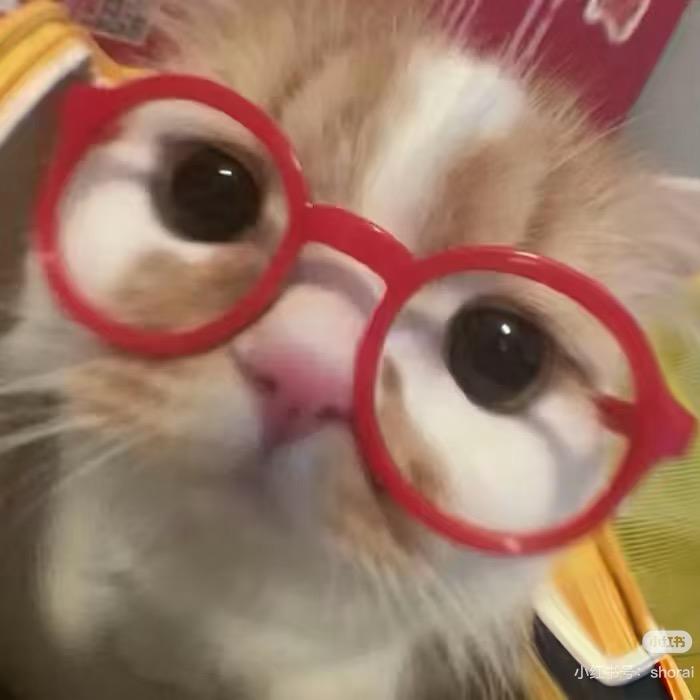 ⁷不⁷秋秋糖ʚ🧸ɞ