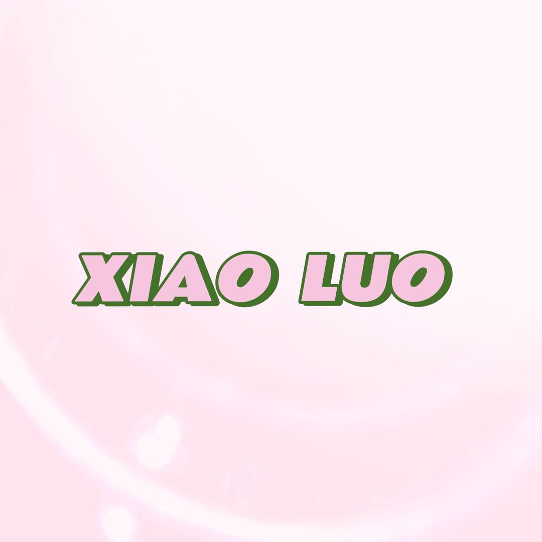 小罗的假发日记