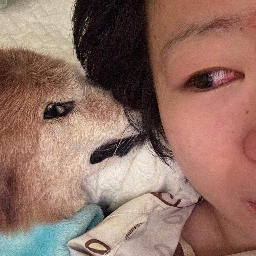 狗崽儿