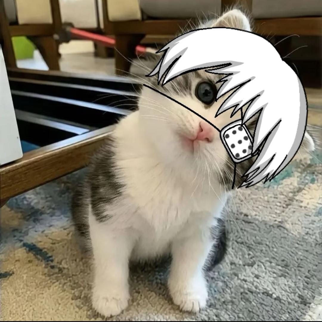 爱上白毛是我的宿命