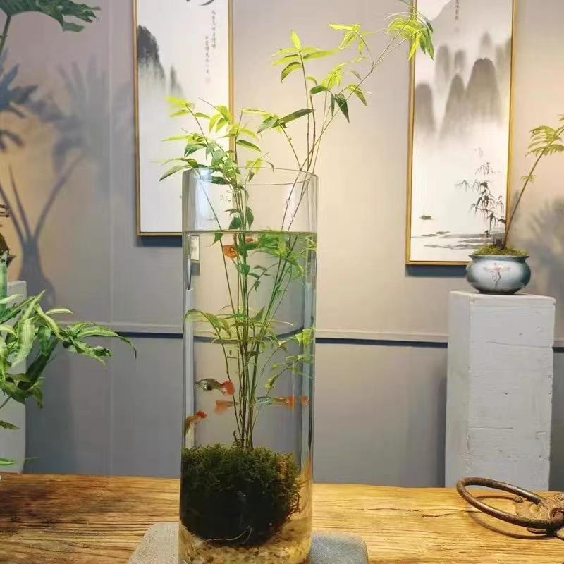 妍花小镇