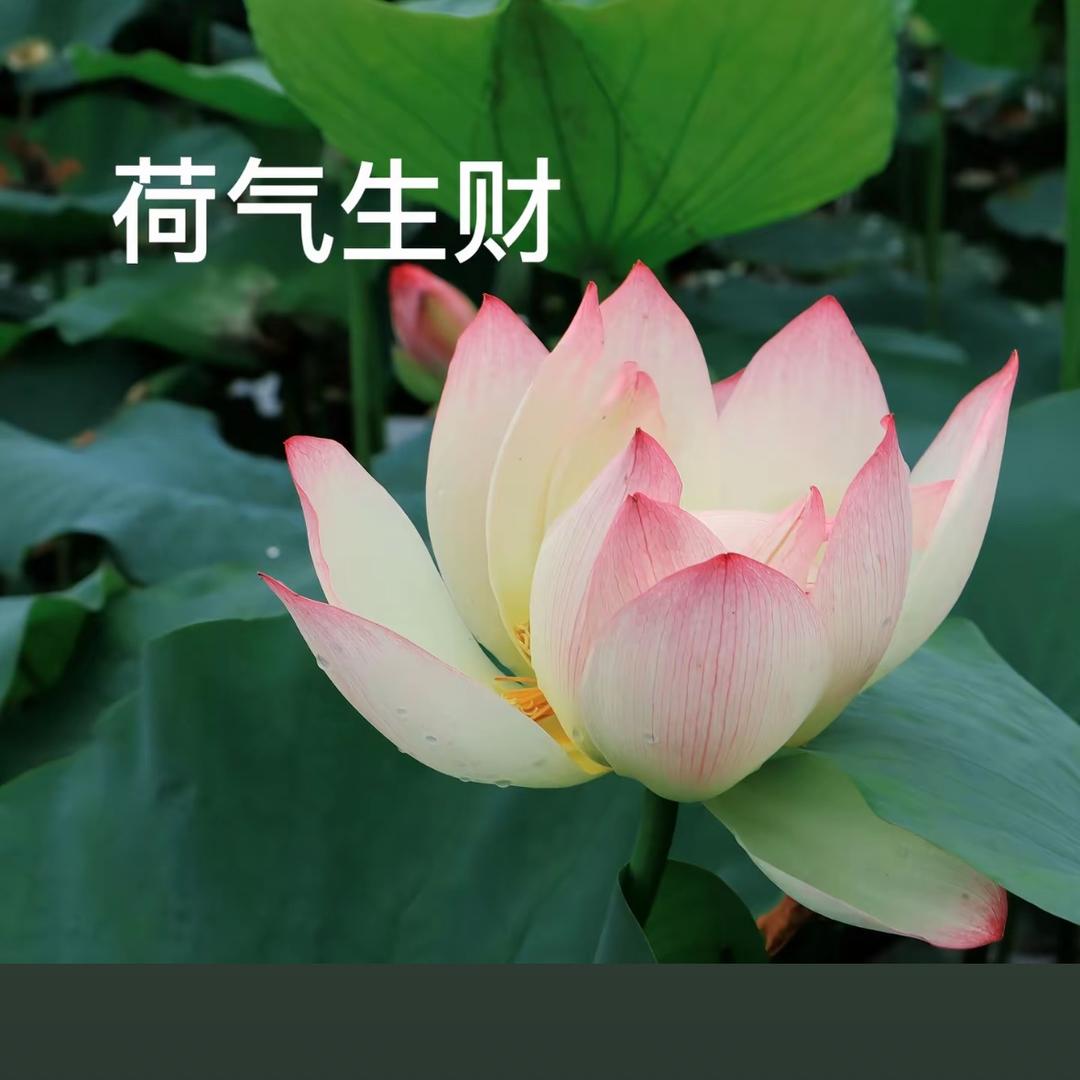 相亲相爱的一家人