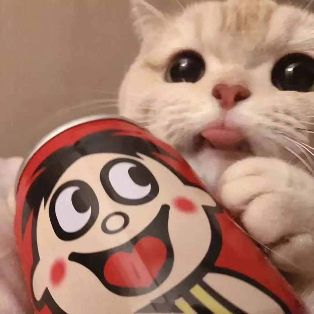 赤火火