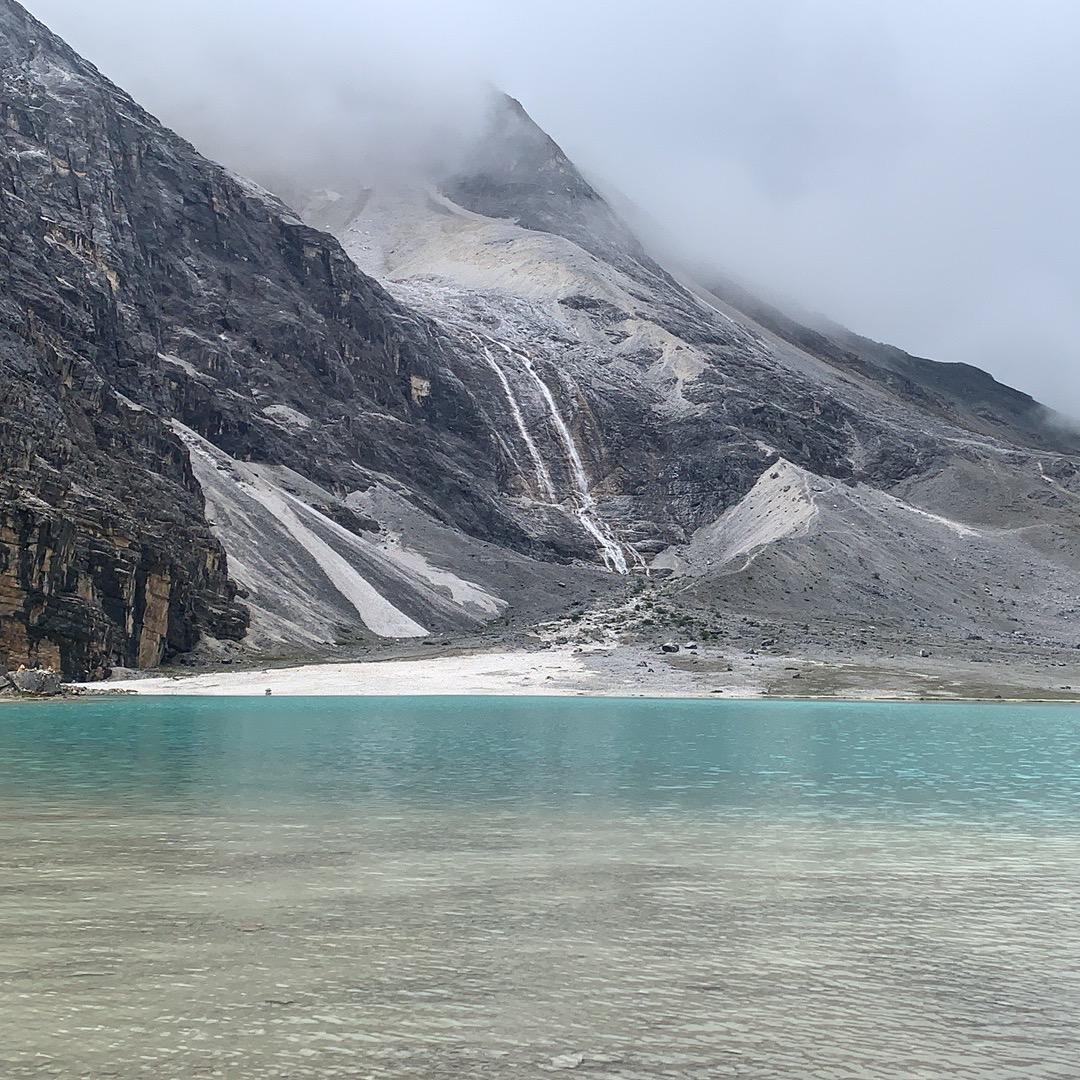 球球2.0头像