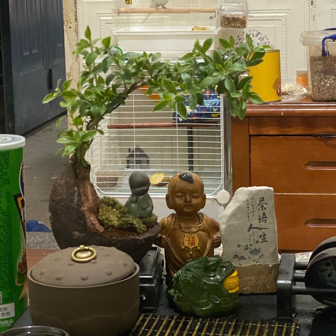 小薛🐉