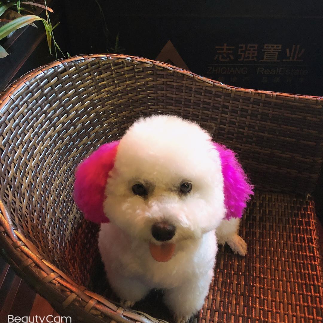 退后