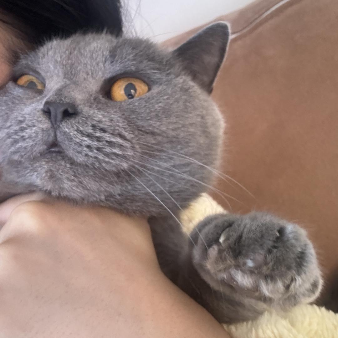 北京稻香村(望京园店)稻香村（望京园店）